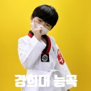 능곡 태권도 | 미취학도 걱정없는 능곡동 태권도 학원-경희대 능곡태권도 후기