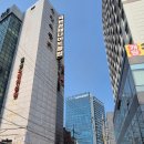 국빈관관광나이트 이미지