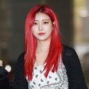 레드헤어 일간스포츠