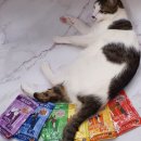 키친팬트리 이미지