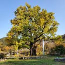 헤브론153 카페 이미지