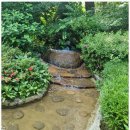 영종도부동산공인중개사사무소 이미지