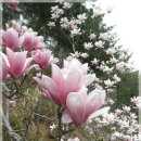 하노버승마장 | 안성 하노버캠핑장