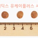 유케이시스템 이미지