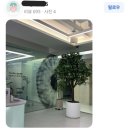 보스안과의원 | 대구 수성구 안구건조증 보라빛안과에서 누점폐쇄술 받았어요^^