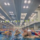 해수모텔 | 동해보양온천 원정수영 50M 레인과 해수풀 자유수영 후기