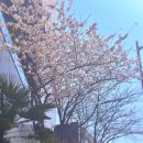 다대포 다목적 인조잔디구장 | 달려라 부산 러닝데이 행사 정보&amp; 사전 신청링크 공유