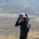 비 개인 후 이미지