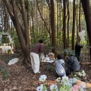 블랭크 | [우주의 돌] 제주 돌스냅 미홍스냅+필름블랭크 촬영 후기✨ (매우추천!)