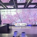 경주 여행코스 추천 미디어아트 이색 카페 경주 황리단길 핫플 카페 오버랩