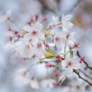 신평동1080 이미지