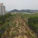 간석4동-8 이미지