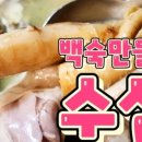 개미인삼사