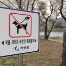 대성관광지 이미지