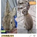 조재진동물병원 이미지
