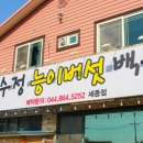 일품산수정