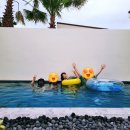 귤담채 | 제주 한경 독채펜션 감성숙소 귤밭뷰 돌담 수영장 자쿠지까지 완벽한 &#34;귤담채 꽃&#34; 내돈내산 후기 : 귤담채