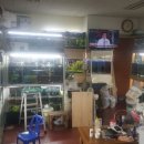 서촌로32번길 이미지