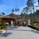 주식회사 강화모노레일 | 강화 교동도 여행 가볼만한곳 화개정원 연산군유배지 전망대 모노레일