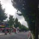 관광단지로(서) | 용문산 용문사 용문관광단지 상원사 계곡 걸어보기
