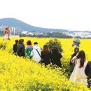 꽃길만걷자