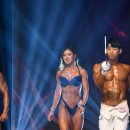 피트니스 월드 이미지