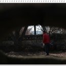 원진메디슨 이미지