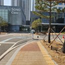 소노펫 스쿨 | [소노캄 고양] 펫 프렌들리 패밀리 어메니티, 띵낑독, 펫스쿨 후기