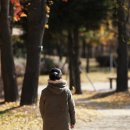 서호공원 이미지