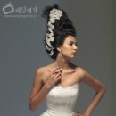 스와브 이미지