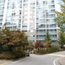 남원로(청구아파트길) 이미지