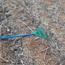 광수농장1 이미지