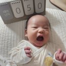 [뽀송] 둥짱이 외출 준비- 신생아 디럭스 유모차 세탁하기