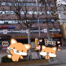 솔잎여성전용한증막 이미지