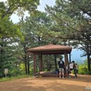 한라특산 | [제주_한라수목원 : 광이오름과 자연의 산책로]