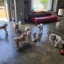 멍스테이션 이미지