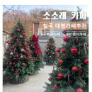 구암동284 | [대구/칠곡] 대구 북구 소소래 카페 후기｜과일이 살아있는 대형카페, 디저트까지 완벽했던 구암동 핫플