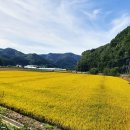 사람곡간 이미지