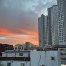 볼리비아 🇧🇴 및 미국 🇺🇸 비자 - 신청하는 방법, 가격