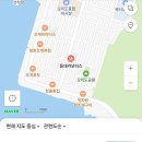 등대카모터스 이미지