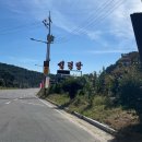 벽오동설렁탕 전문점 이미지