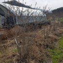 여주-0120 이미지