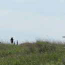 배곧생명공원 이미지