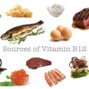 B12 이미지