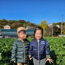 예일농장 이미지