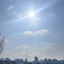 푸드마켓 | 서울 벚꽃 명소 양재천 벚꽃 축제 푸드트럭 및 플리마켓 후기