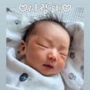 용신71 | 종로백운학 25년 출산택일/작명 내돈내산 후기