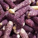 옥과농협 이미지