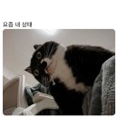프로카클리닉 | 광광우럭다