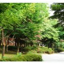 아시아공원 이미지